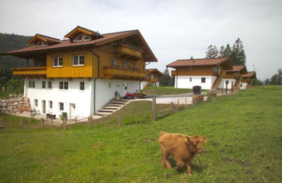 Chalets und Wohnanlagen